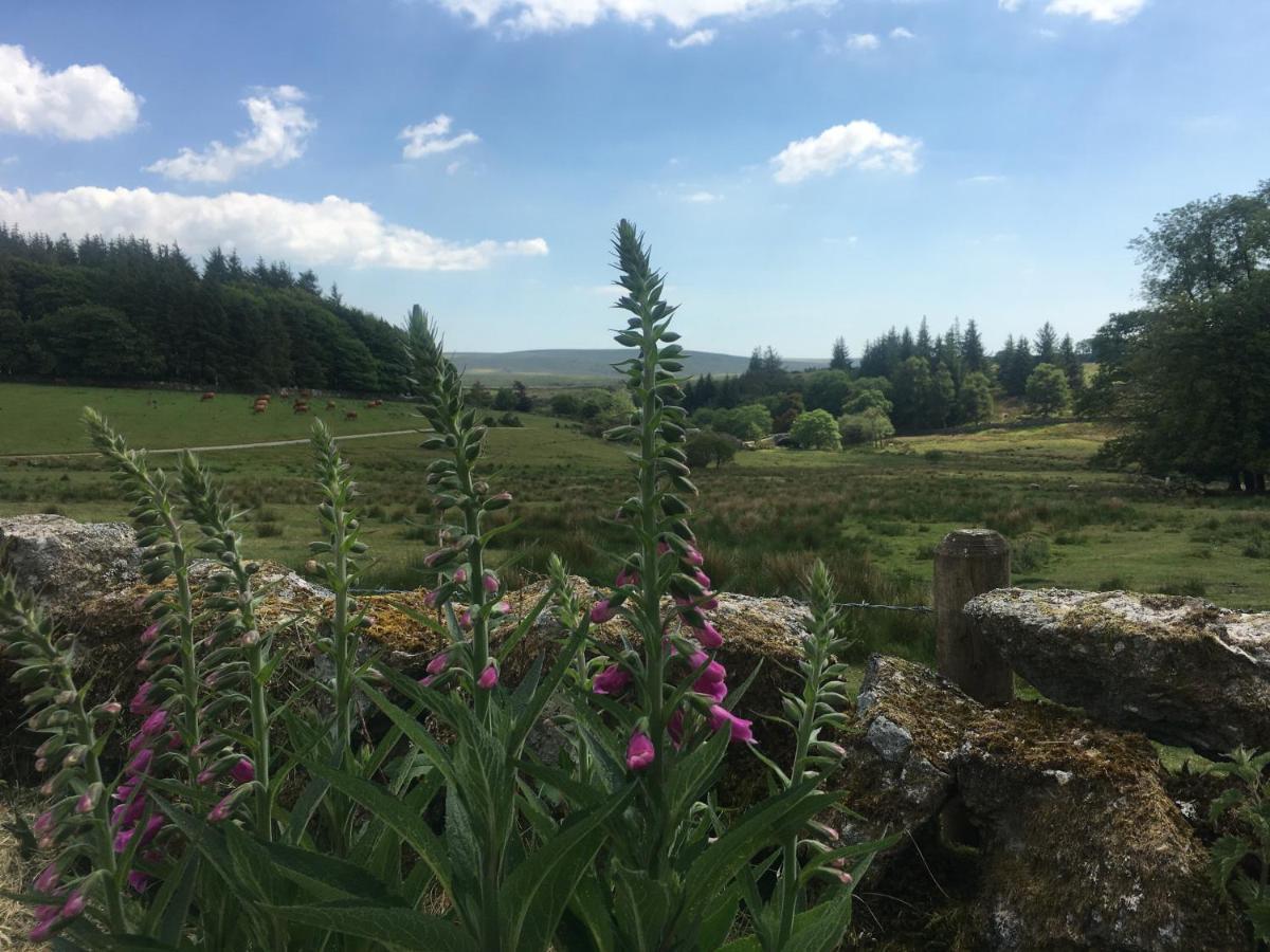 Prince Hall Country House Princetown Exterior photo